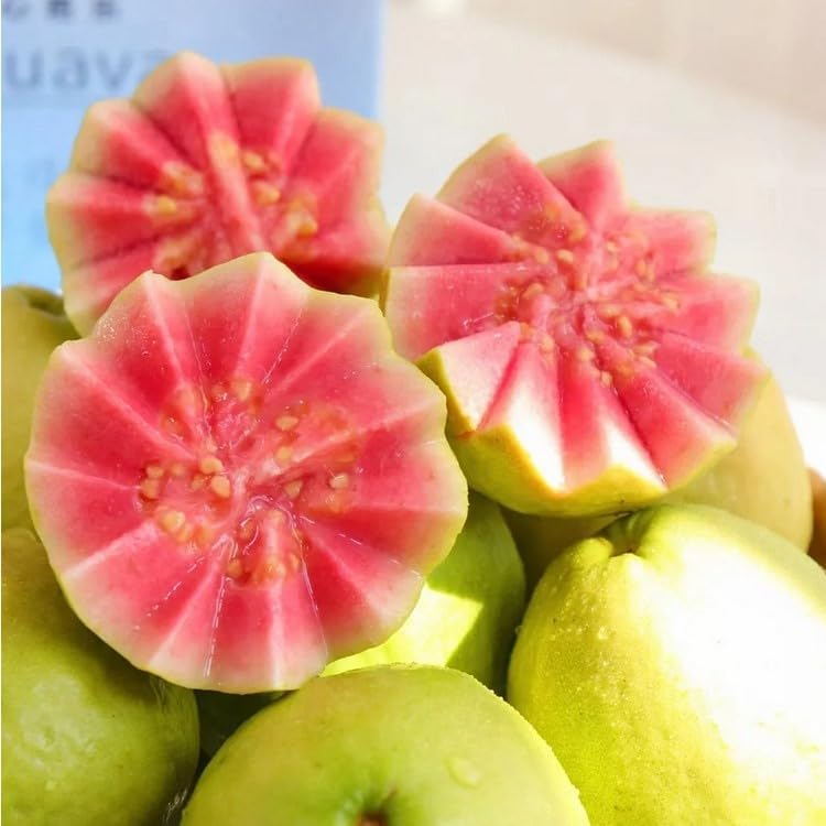 Økologiske lyserøde guavafrø – 60 stk