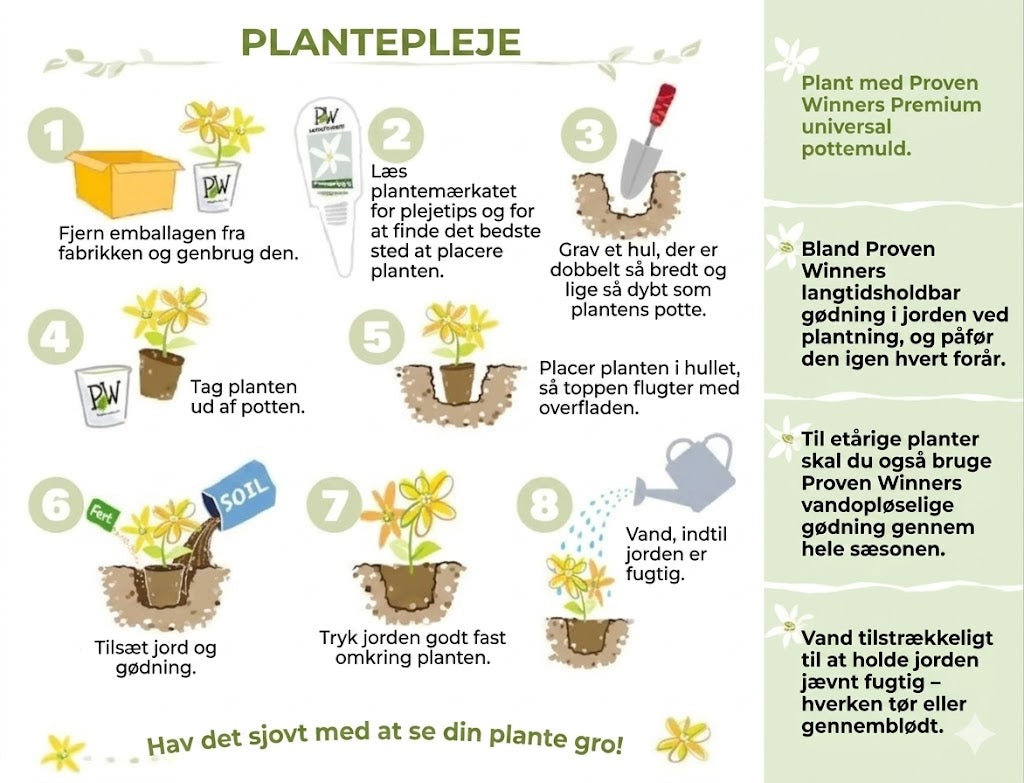 Blommetræ frøblanding – 100 stk