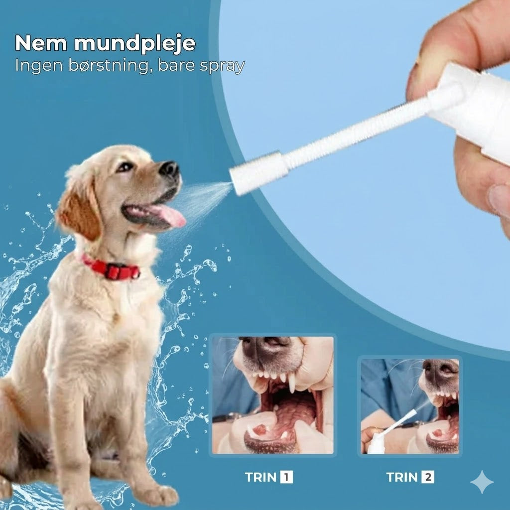 Tandplejespray til kæledyr