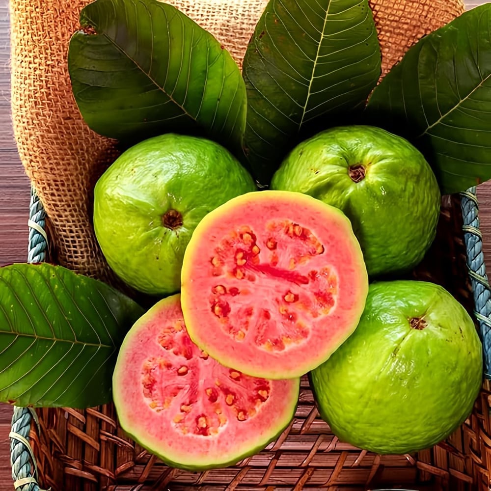 Økologiske lyserøde guavafrø – 60 stk