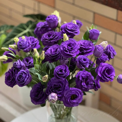 Tornfrie Prærieklokke frø (100 stk) 💐 Prærieklokke