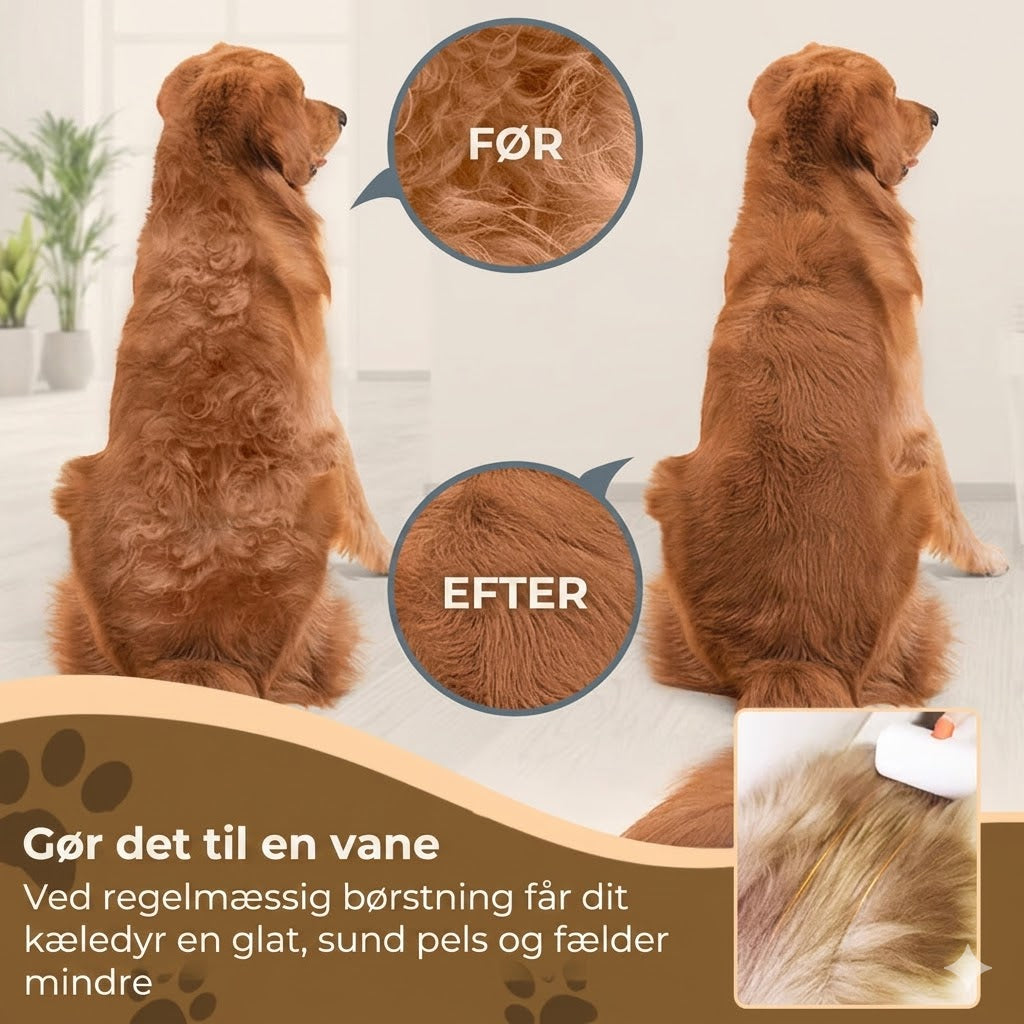 2-i-1 børste til kæledyr