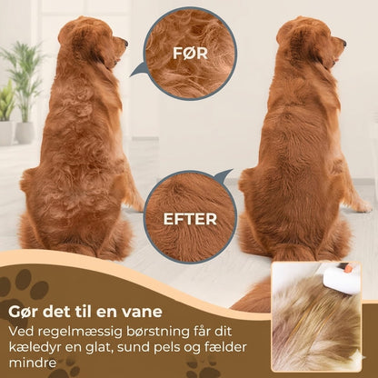 2-i-1 børste til kæledyr