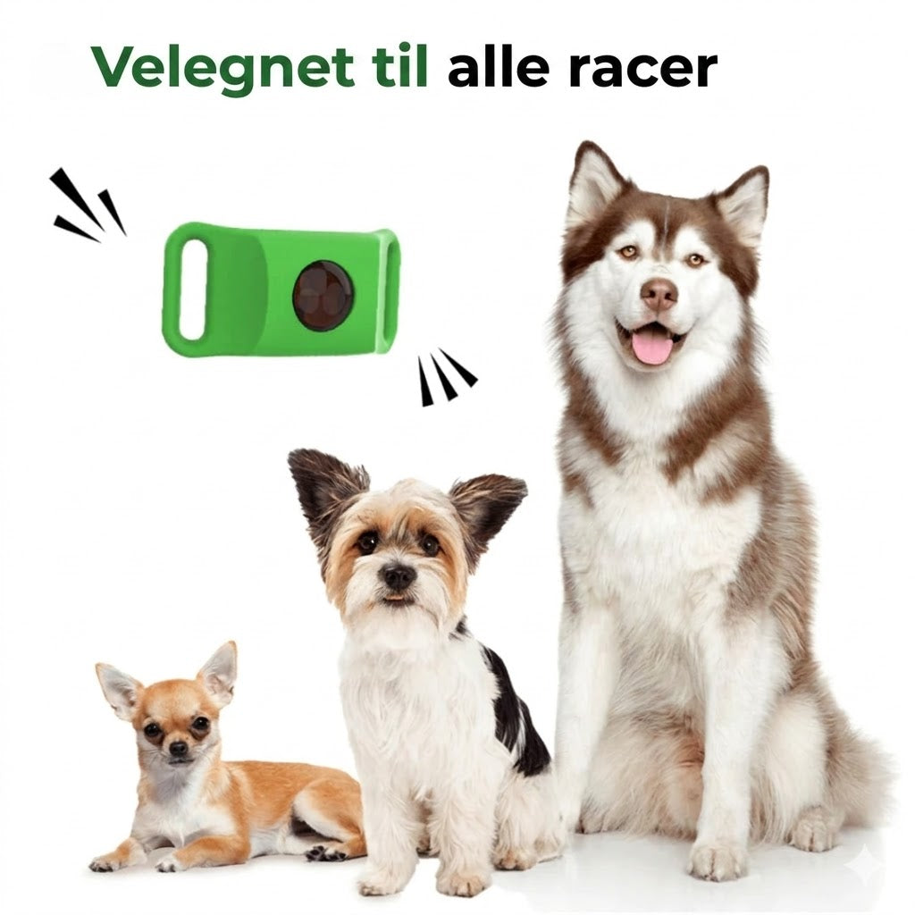 FurLife™ Loppe- og flåthalsbånd