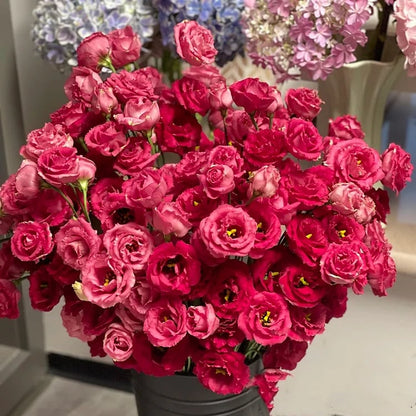 Tornfrie Prærieklokke frø (100 stk) 💐 Prærieklokke