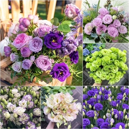 Tornfrie Prærieklokke frø (100 stk) 💐 Prærieklokke