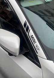 Dekorativt bilmærkat