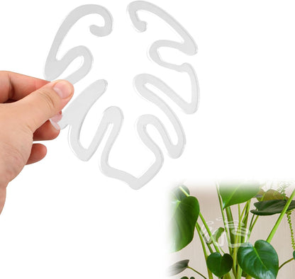 Gennemsigtig planteopsats i akryl, monstera-bladform | Usynlig plantestøtte til indendørs（1 Sæt 5 Stk.）