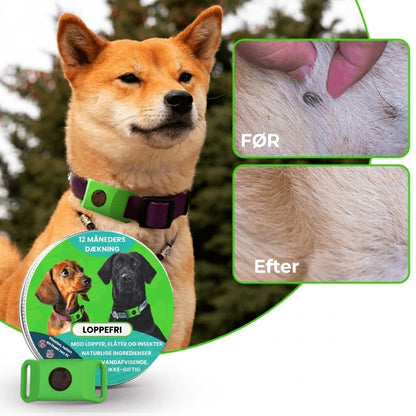 FurLife™ Loppe- og flåthalsbånd