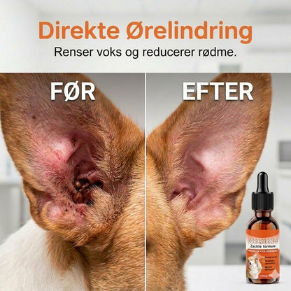 Milde øredråber til hunde – daglig pleje