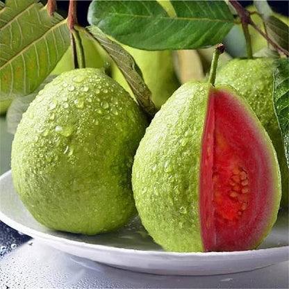 Økologiske lyserøde guavafrø – 60 stk