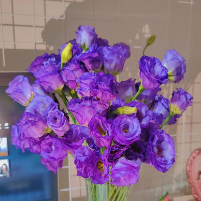 Tornfrie Prærieklokke frø (100 stk) 💐 Prærieklokke