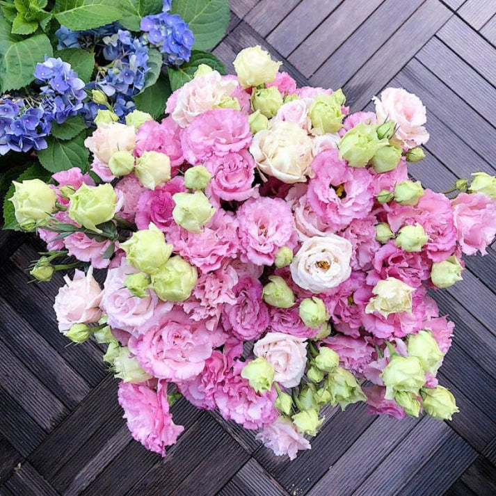 Tornfrie Prærieklokke frø (100 stk) 💐 Prærieklokke