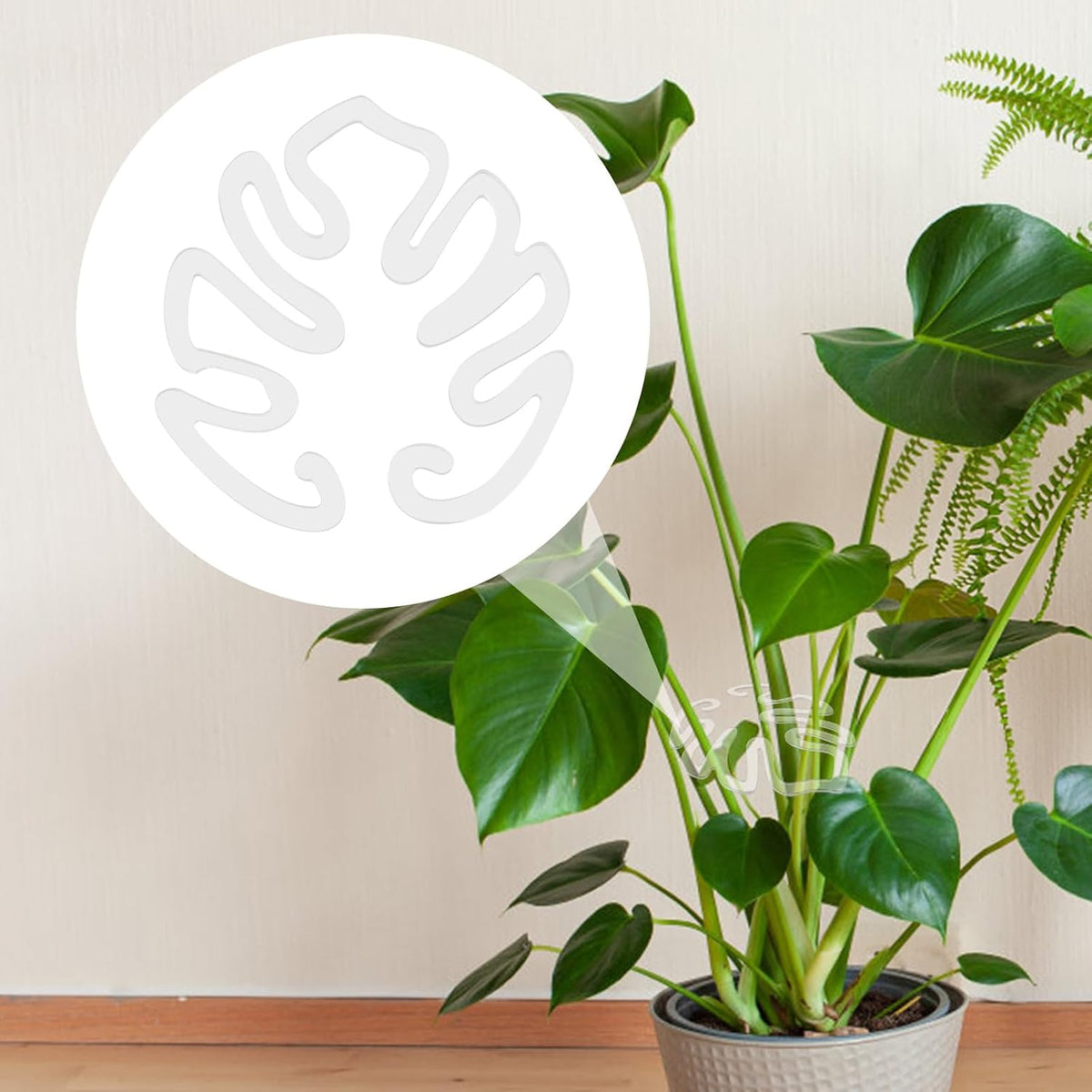 Gennemsigtig planteopsats i akryl, monstera-bladform | Usynlig plantestøtte til indendørs（1 Sæt 5 Stk.）