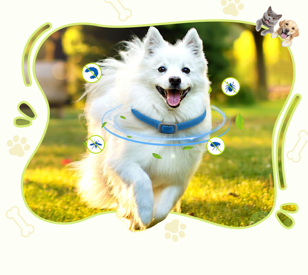 🐶🐱Plantebaseret loppe- og tægehalsbånd🐕🌿