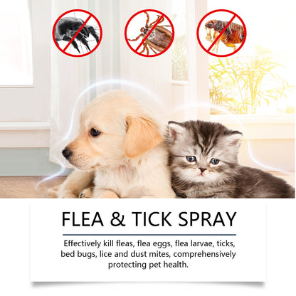 Naturlig beskyttelsesspray mod lopper og flåter🐱🐶