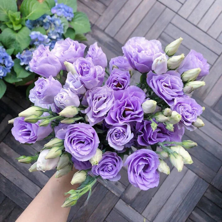 Tornfrie Prærieklokke frø (100 stk) 💐 Prærieklokke