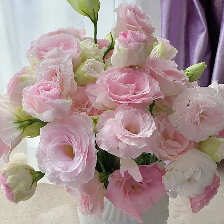 Tornfrie Prærieklokke frø (100 stk) 💐 Prærieklokke