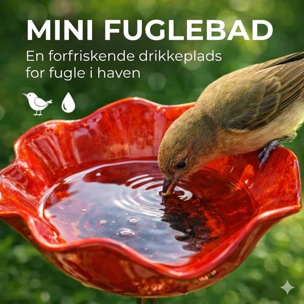 Håndlavet frøformet fuglebad — Unik havepynt og fugledrikkeskål