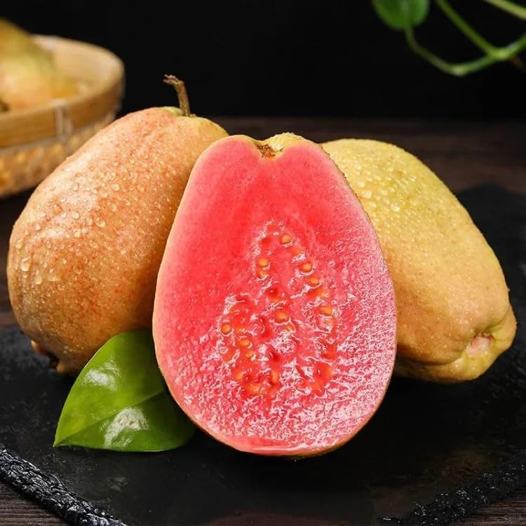 Økologiske lyserøde guavafrø – 60 stk