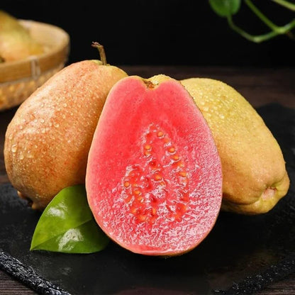 Økologiske lyserøde guavafrø – 60 stk