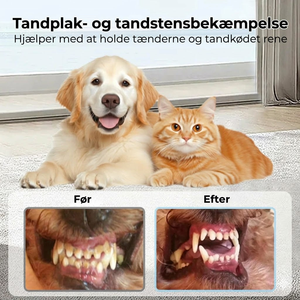Tandplejespray til kæledyr