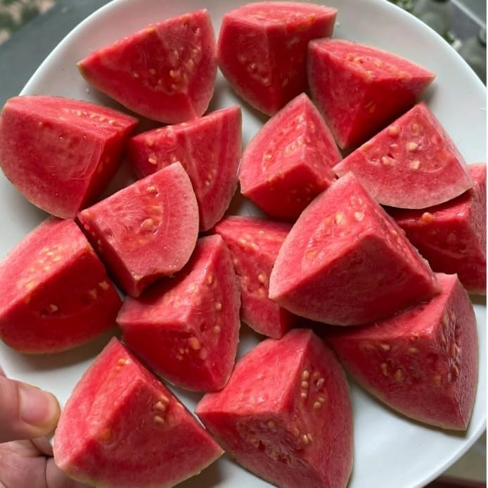 Økologiske lyserøde guavafrø – 60 stk