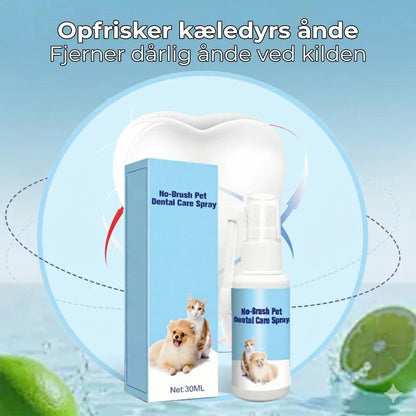 Tandplejespray til kæledyr