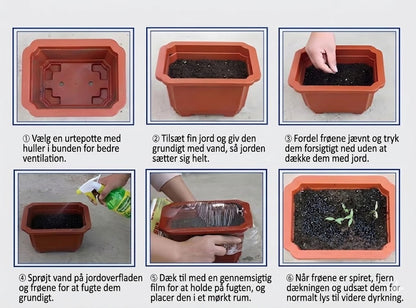Sjældne premiumplanter af høj kvalitet, som er nemme at passe.