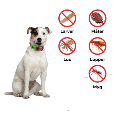 FurLife™ Loppe- og flåthalsbånd