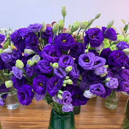 Tornfrie Prærieklokke frø (100 stk) 💐 Prærieklokke