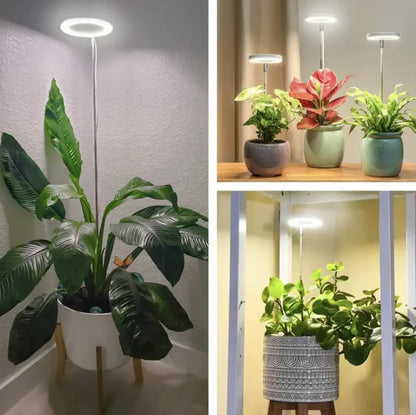 Fuld Spektrum LED plantevækst lampe