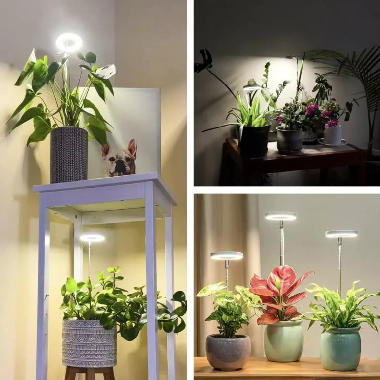 Fuld Spektrum LED plantevækst lampe