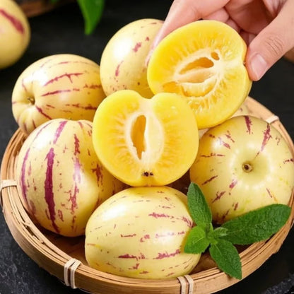Pepinomelon frømix – 1000 stk
