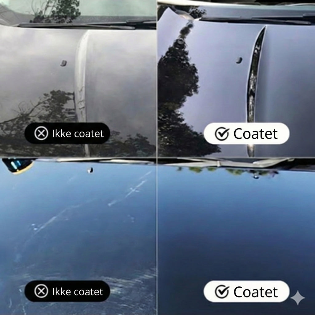 Ridsefjerner til biler