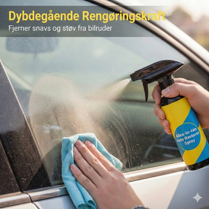 Ridsefjerner til biler