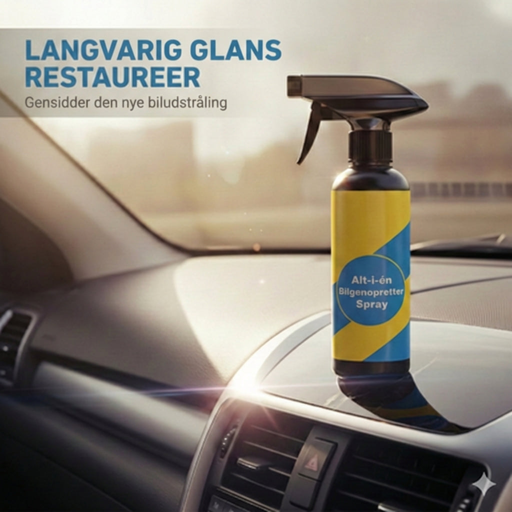 Ridsefjerner til biler