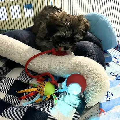 Smart interaktiv legebold til kæledyr