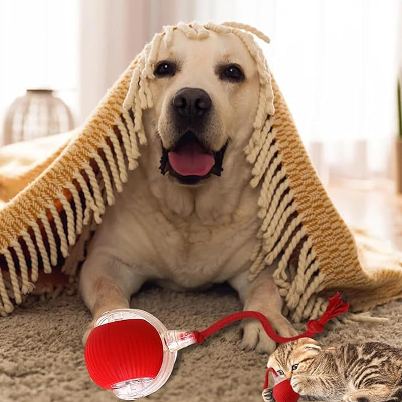 Smart interaktiv legebold til kæledyr