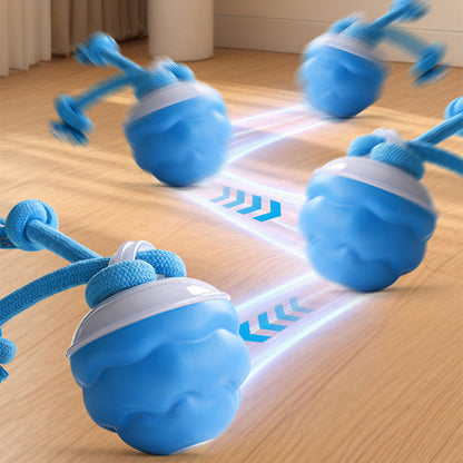 Smart automatisk legebold til kæledyr