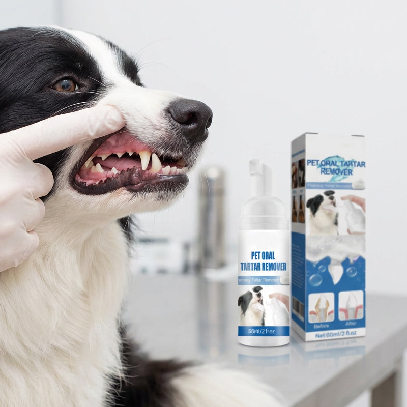 🐶🐱 Skummende tandstensfjerner til hunde