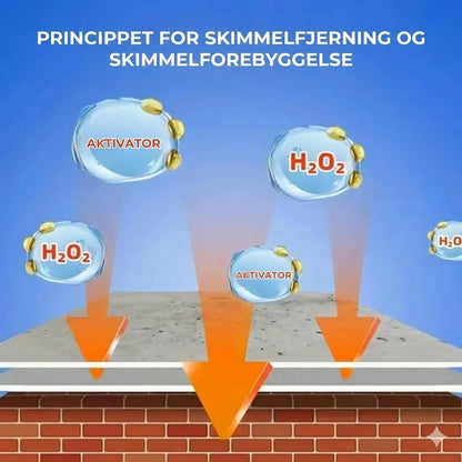 Kraftig skimmelfjerner-spray (øjeblikkeligt resultat)