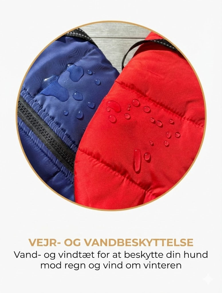 DoggyKings™ hundejakke med integreret sele – vandtæt og varm (3-i-1-design)