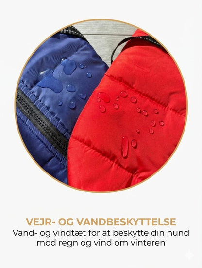 DoggyKings™ hundejakke med integreret sele – vandtæt og varm (3-i-1-design)