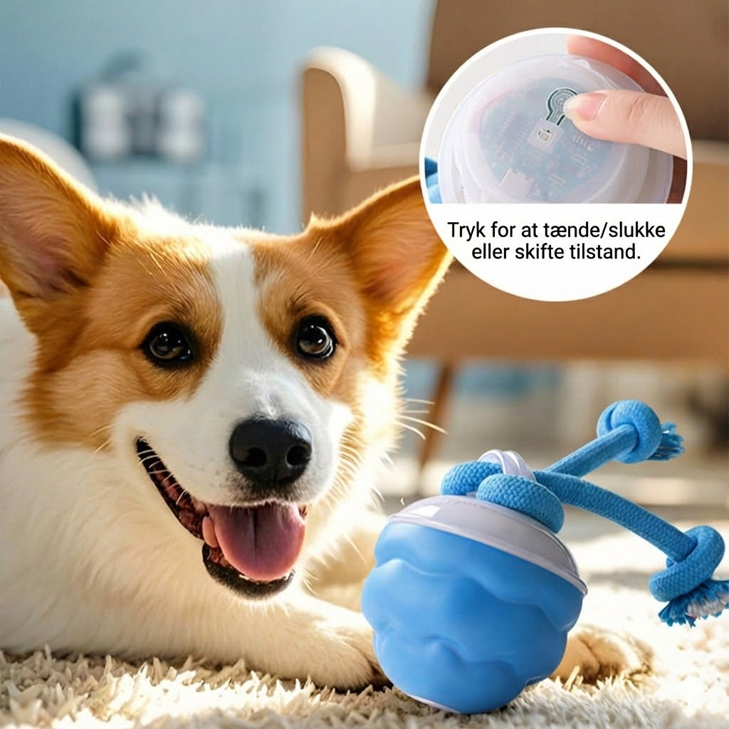 Smart automatisk legebold til kæledyr